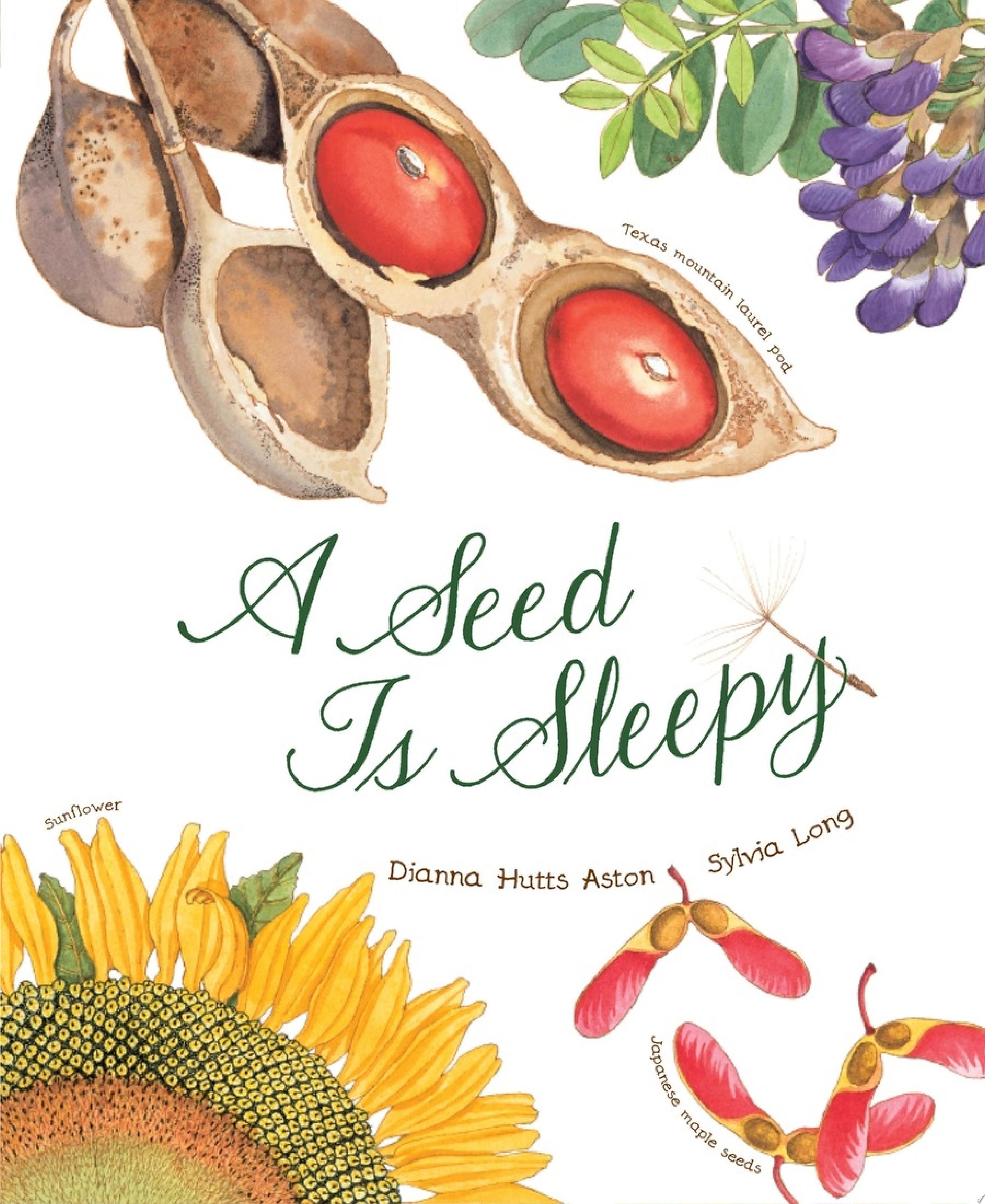 Image for "A Seed Is Sleepy"