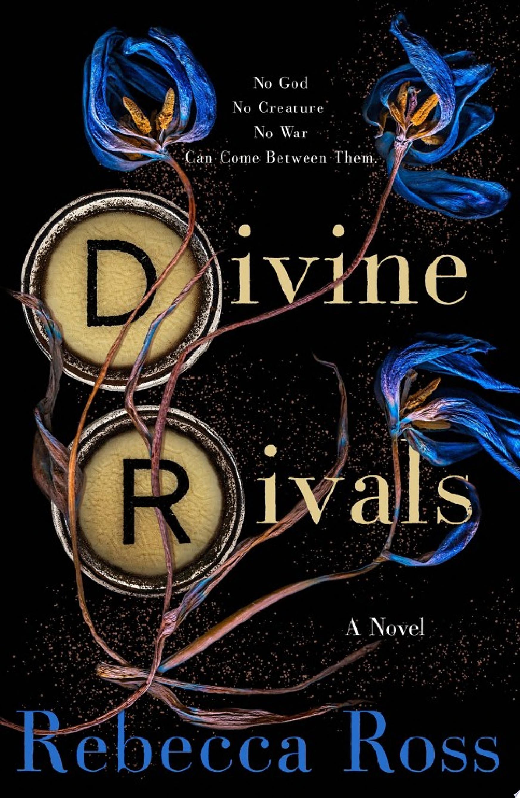 Image for "Divine Rivals"