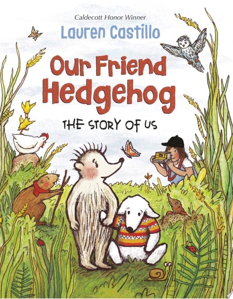 Cover image for "Our Friend Hedgehog"