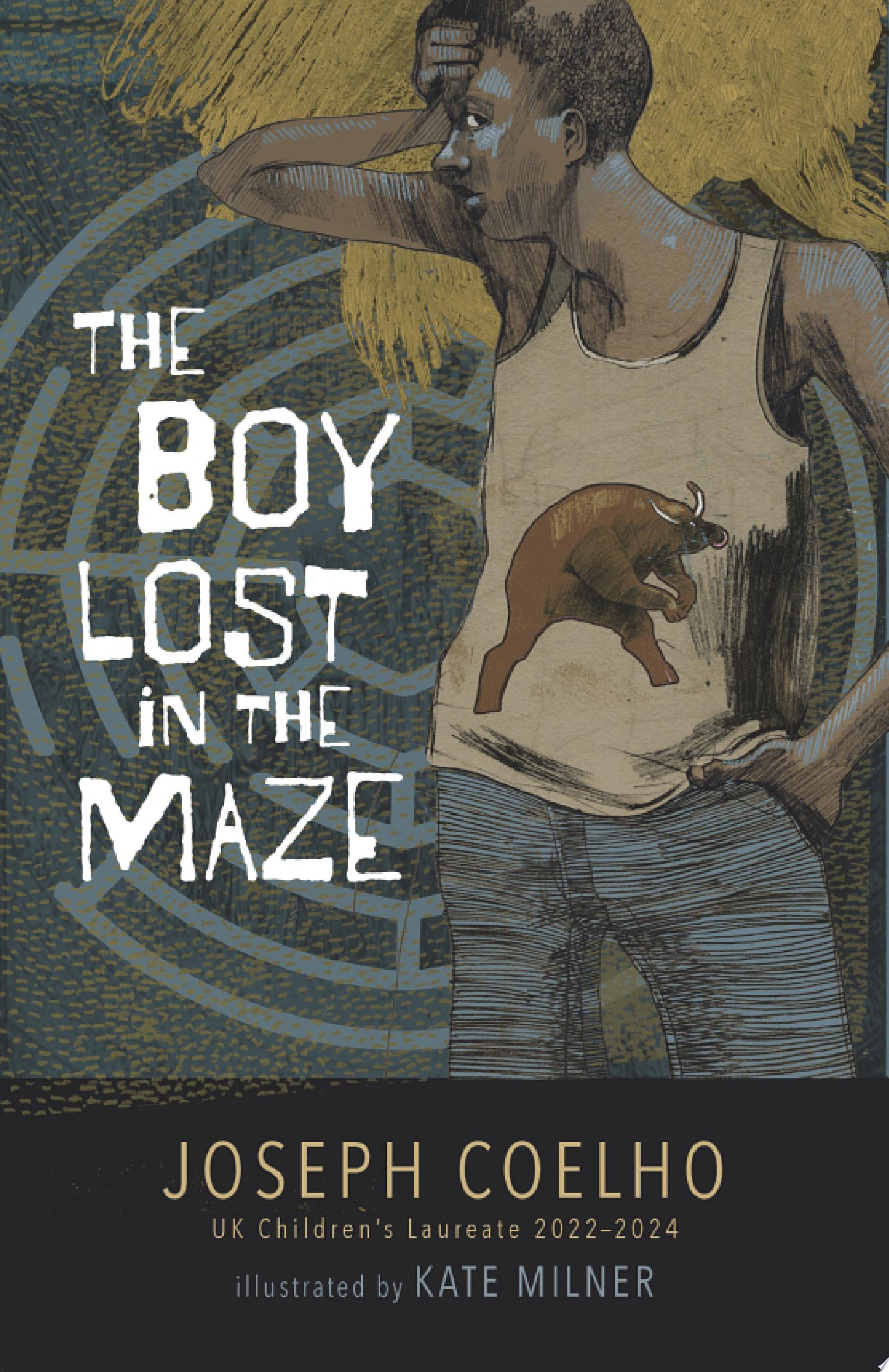 Image for "The Boy Lost in the Maze"
