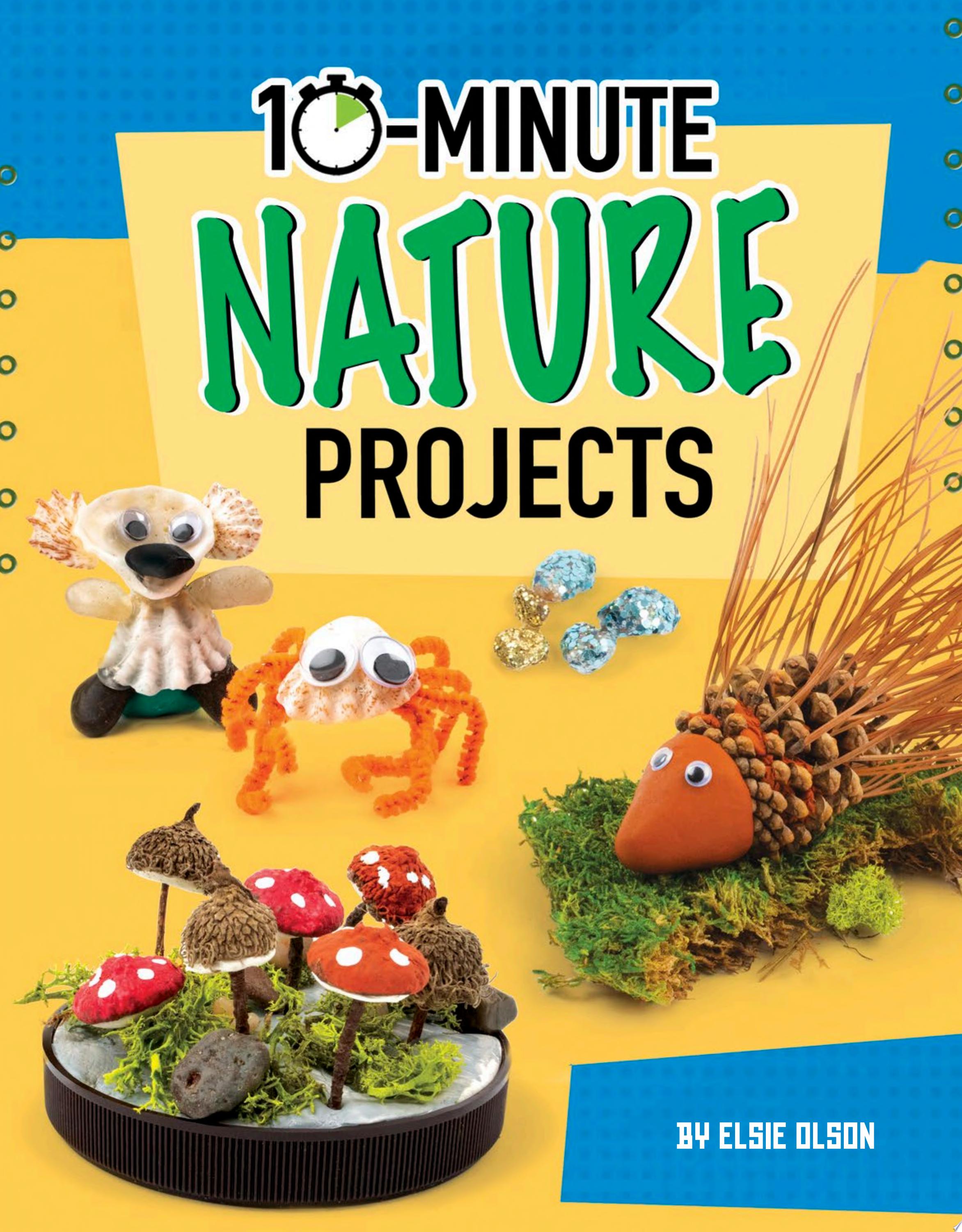 Image for "10-Minute Nature Projects"