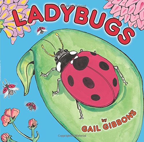 cover of Ladybugs