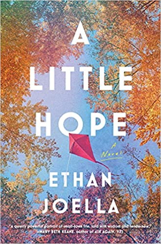 Image for "A Little Hope"