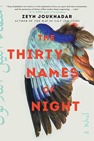 Cover Image for "The Thirty Names of Night" 