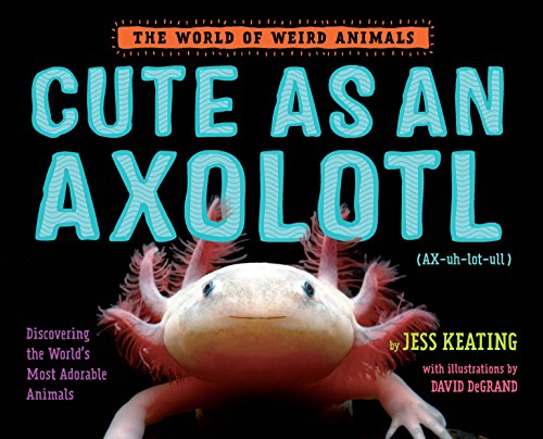 Book cover showing a photo of an axolotl