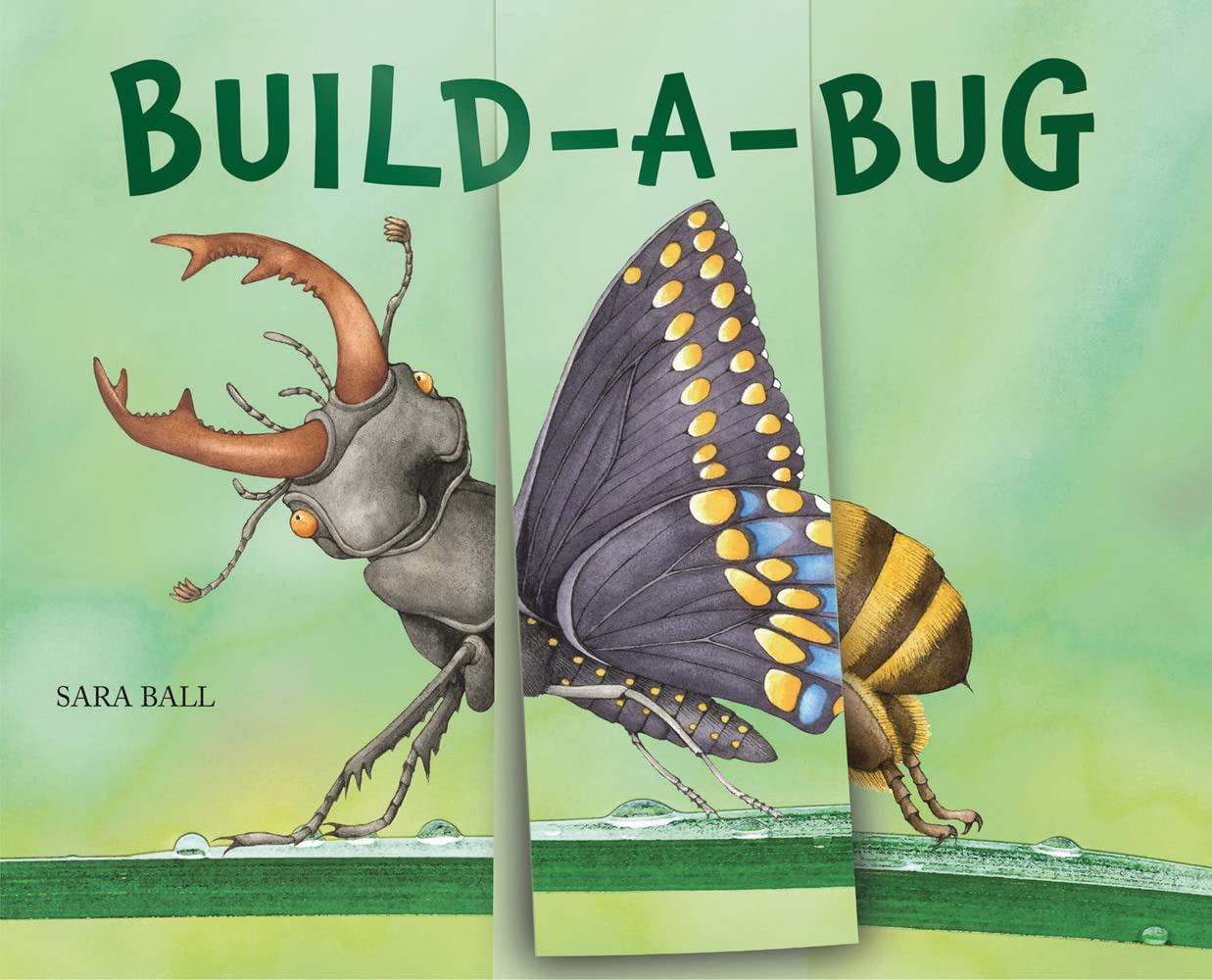 Book cover with illustrated bugs on the cover
