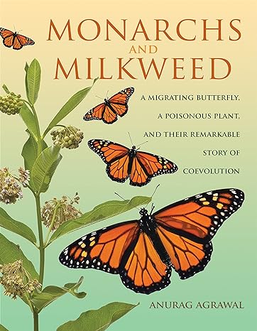 Monarchs and Milkweed