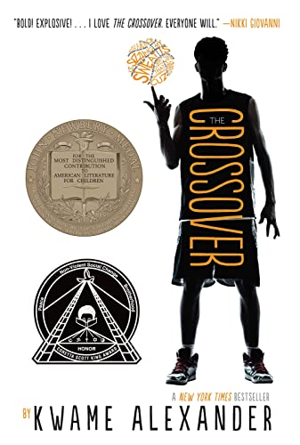 cover with title and author and outline of a basketball player