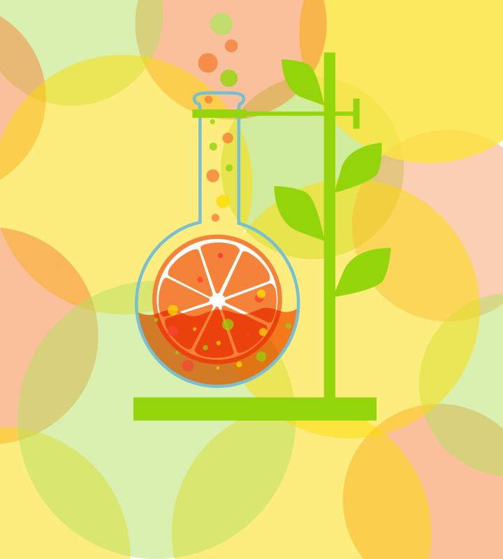 illustration of a testube with citrus slice in it 